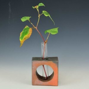 Test Tube Glass Vase