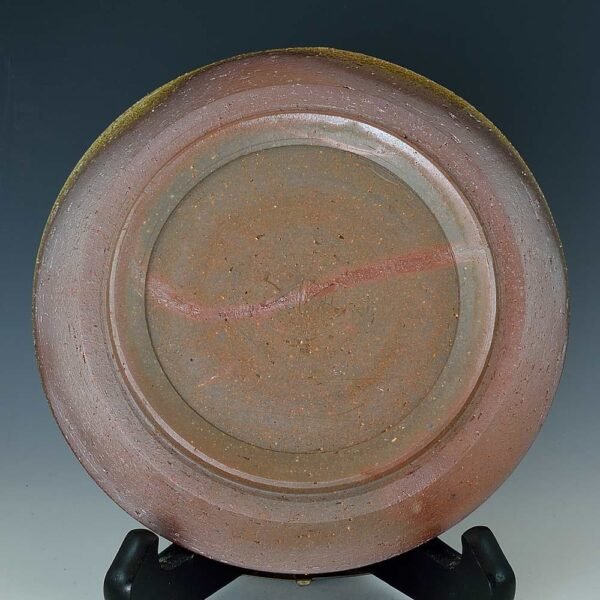 Tapered Rim Plate (Medium) - Image 2